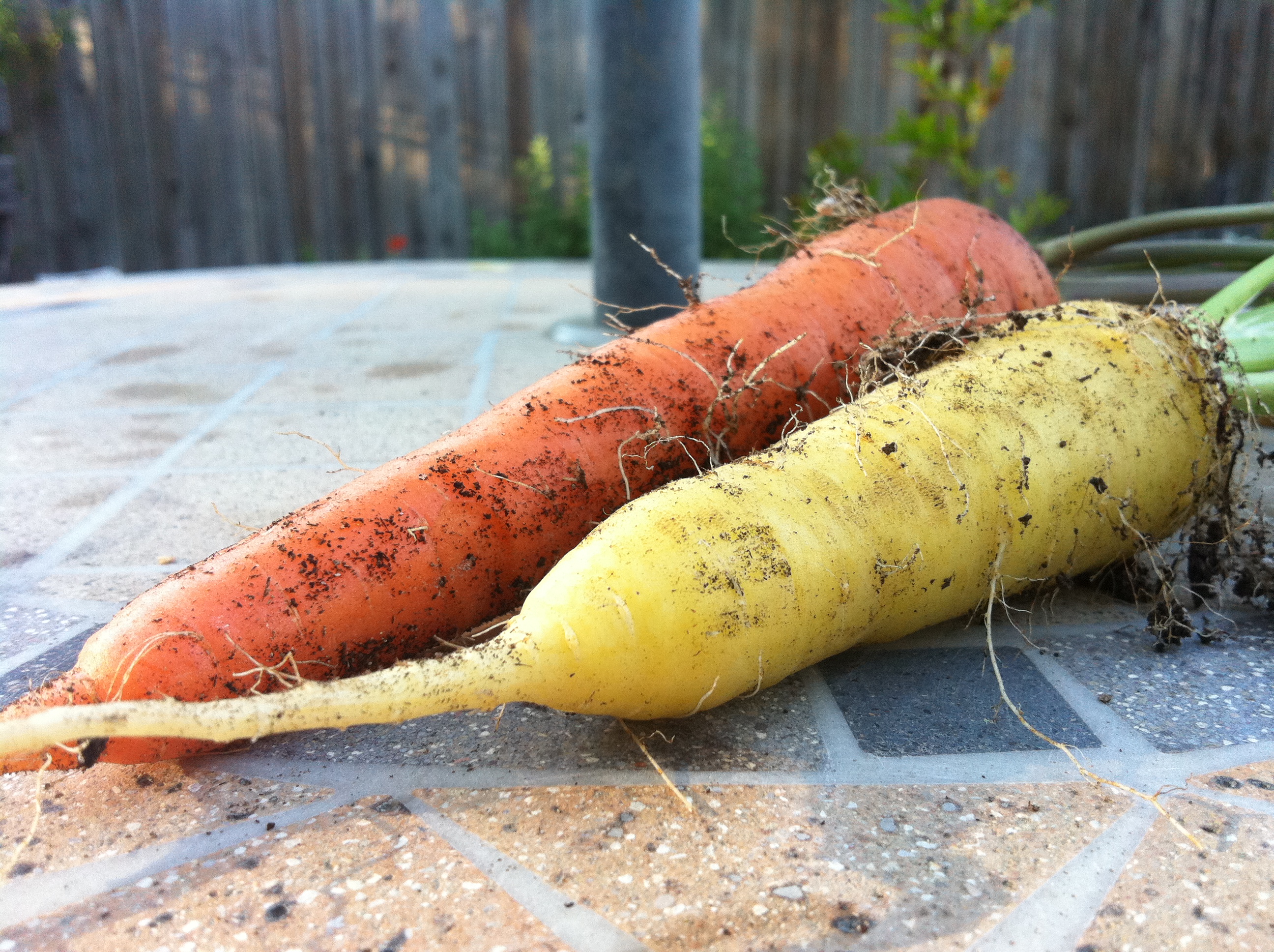 Summer Harvest Carrot Cake
